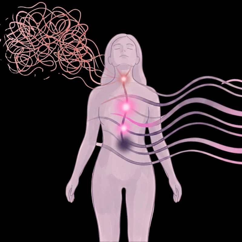 CalmLuv wellness illustration representing relaxation and personal self-care