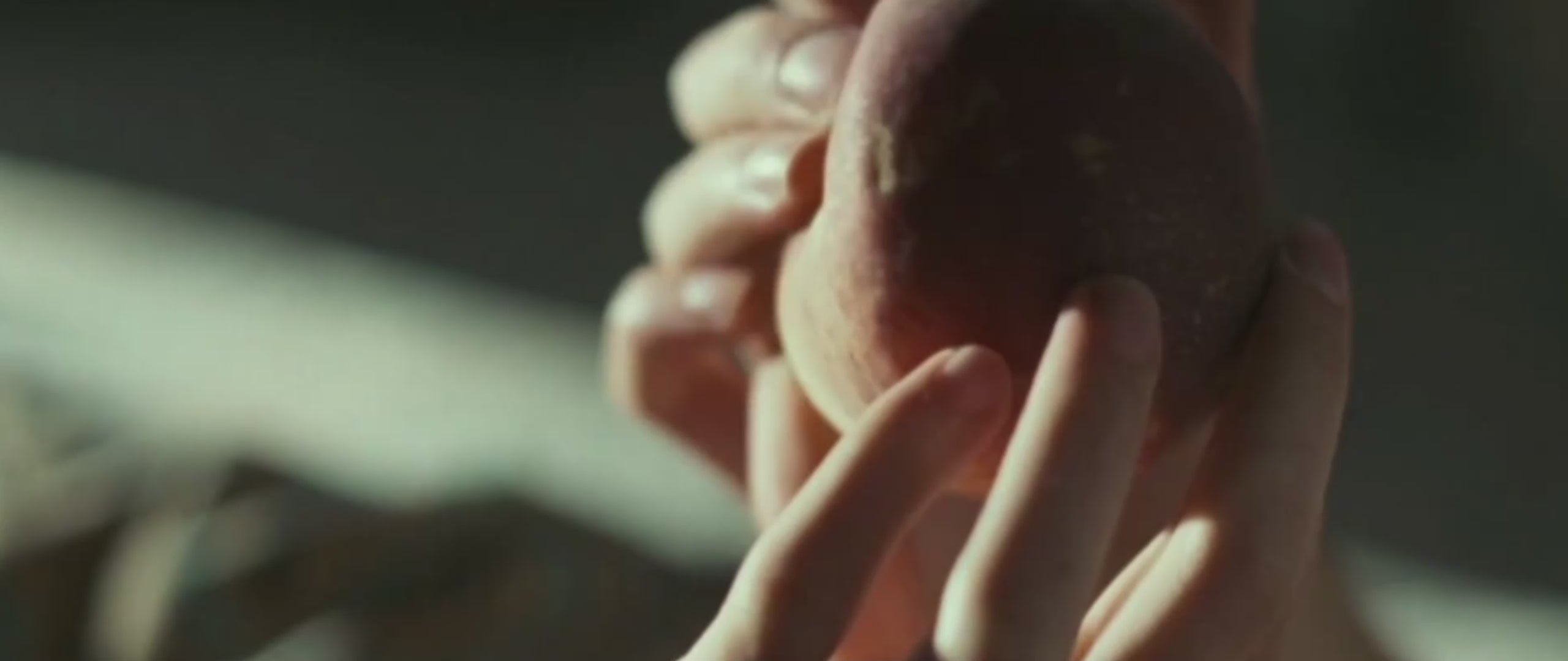 Load video: A brand promotional video for ZENZOONE